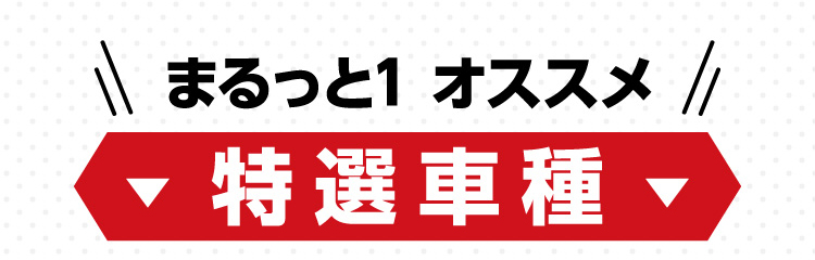 まるっと1おすすめ特選車種